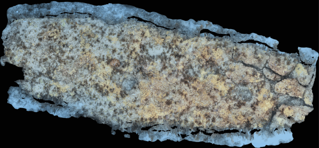 Overhead photomosaic of a coral reef section with detailed textures and coloration of coral colonies and algae growth across the substrate.